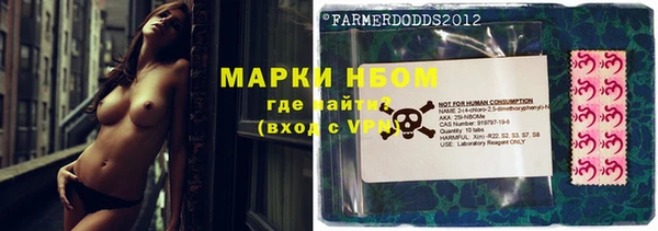 стаф Абинск