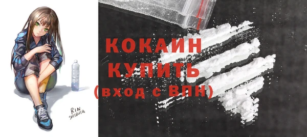 стаф Абинск