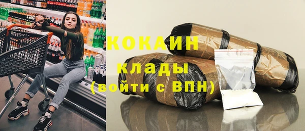 стаф Абинск