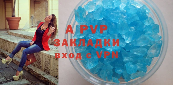 стаф Абинск